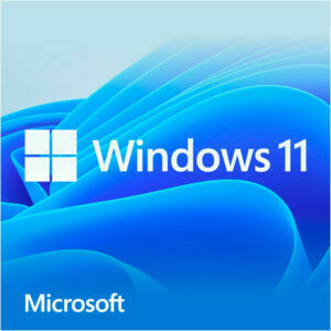 Afbeelding van een Microsoft Windows 11 Home (Nederlandstalig)