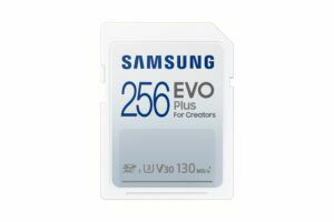 Afbeelding van een Samsung EVO Plus 256GB SDXC SD-Kaart Wit