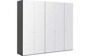 Afbeelding van een Goossens Kledingkast Easy Storage Ddk, Kledingkast 253 cm breed, 220 cm hoog, 5x glas draaideur