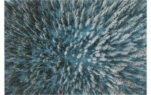 Afbeelding van een Goossens Schilderij In To The Woods, 148 x 98 cm