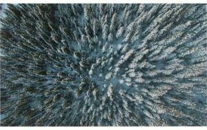 Afbeelding van een Goossens Schilderij In To The Woods, 70 x 118 cm