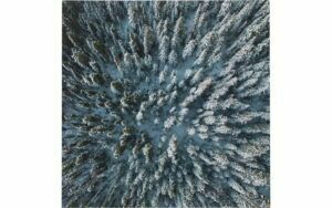 Afbeelding van een Goossens Schilderij In To The Woods, 74 x 74 cm