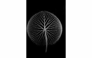 Afbeelding van een Goossens Schilderij After Midnight, 98 x 148 cm