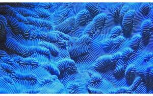 Afbeelding van een Goossens Schilderij Wonderful Life, 118 x 70 cm