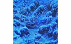 Afbeelding van een Goossens Schilderij Wonderful Life, 74 x 74 cm