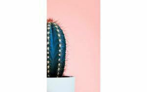 Afbeelding van een Goossens Schilderij Simple Stories, 70 x 118 cm