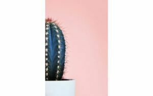 Afbeelding van een Goossens Schilderij Simple Stories, 98 x 148 cm