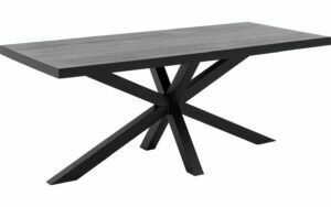 Afbeelding van een Goossens Eettafel Blade, Strak blad 200 x 100 cm 6 cm dik