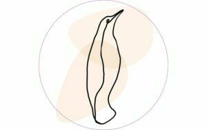 Afbeelding van een Goossens Schilderij Fineline, 30 x 30 cm