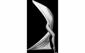 Afbeelding van een Goossens Schilderij Hidden Beauty, 80 x 120 cm