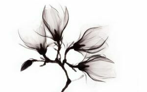 Afbeelding van een Goossens Schilderij Art Of Nature Flower, 98 x 48 cm