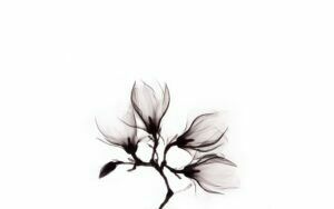 Afbeelding van een Goossens Schilderij Art Of Nature Flower, 74 x 74 cm