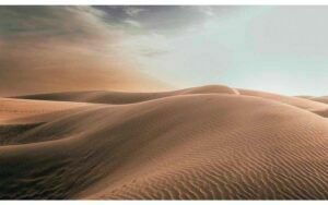 Afbeelding van een Goossens Schilderij Art Of Nature Sand, 118 x 70 cm