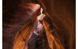 Afbeelding van een Goossens Schilderij Art Of Nature 1, 148 x 98 cm