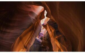 Afbeelding van een Goossens Schilderij Art Of Nature 1, 118 x 70 cm