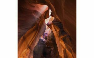 Afbeelding van een Goossens Schilderij Art Of Nature 1, 74 x 74 cm