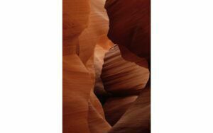 Afbeelding van een Goossens Schilderij Art Of Nature 2, 98 x 148 cm