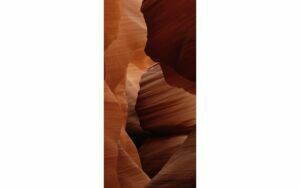 Afbeelding van een Goossens Schilderij Art Of Nature 2, 48 x 98 cm