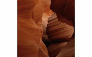 Afbeelding van een Goossens Schilderij Art Of Nature 2, 74 x 74 cm