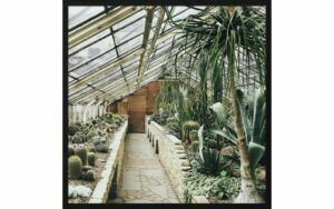 Afbeelding van een Goossens Schilderij Urban Botanical 3, 74 x 74 cm