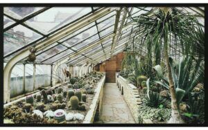 Afbeelding van een Goossens Schilderij Urban Botanical 3, 118 x 70 cm