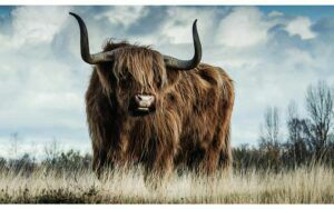 Afbeelding van een Goossens Schilderij Urban Wildlife 1, 118 x 70 cm