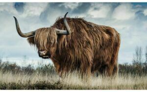 Afbeelding van een Goossens Schilderij Urban Wildlife 2, 118 x 70 cm
