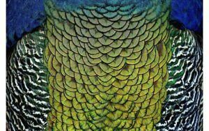 Afbeelding van een Goossens Schilderij Wonderful Life, 148 x 98 cm