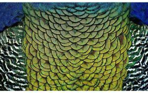 Afbeelding van een Goossens Schilderij Wonderful Life, 118 x 70 cm