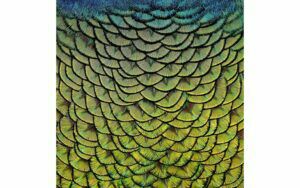 Afbeelding van een Goossens Schilderij Wonderful Life, 74 x 74 cm