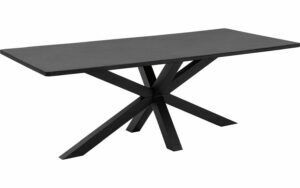 Afbeelding van een Goossens Eettafel Stone, Rechthoekig 220 x 110 cm