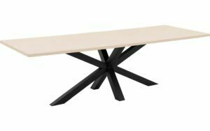 Afbeelding van een Goossens Eettafel Stone, Rechthoekig 250 x 110 cm