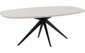 Afbeelding van een Goossens Eettafel Fenix, Semi ovaal 220 x 120 cm