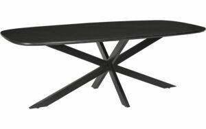 Afbeelding van een Goossens Eettafel Nilo, Semi rechthoekig 230 x 105 cm