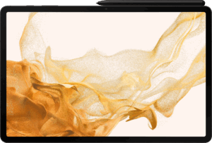 Afbeelding van een Samsung Galaxy Tab S8 Plus 128 Gb Wifi Grijs