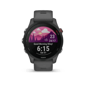 Afbeelding van een Garmin Forerunner 255 Basic Slate Grey