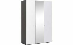 Afbeelding van een Goossens Kledingkast Easy Storage Ddk, Kledingkast 153 cm breed, 220 cm hoog, 2x glas draaideur en 1x spiegel draaideur midden