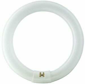 Afbeelding van een Philips Ronde TL 22W/840 TLE coolwhite Philips 5900609