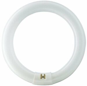 Afbeelding van een Philips Ronde TL 40W/840 TLE coolwhite Philips 5900617