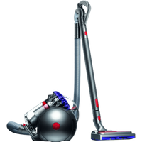 Afbeelding van een Dyson Big Ball Parquet 2